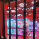 엘리스inwonderland 네이버블로그