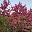 맑은마을 이미지