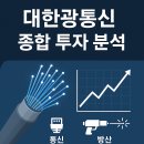 대한광통신(주) 티스토리