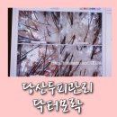 닥터모락 당산점 이미지