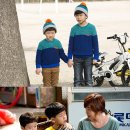 오성그린 이미지