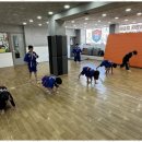 용인대 화랑 합기도 이미지