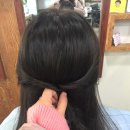 헤어팜 네이버블로그
