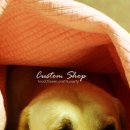 우리두리 이미지