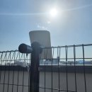 선해농장 이미지