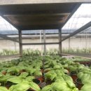 남사농장 이미지