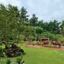 제주하와이 덕수궁 이미지