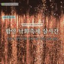 지정03 | 2026 함안 낙화축제 실시간 방문 후기, 지정좌석 관람 꿀팁 총정리