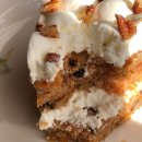 우주주택 이미지