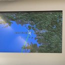 JL SPORTS | 신혼여행 part 1/ 발리-스미냑 / 계획없이도 야무지게 잘~ 놀았습니다. (feat 가루다항공비지니스)