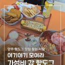 코너트럭 | [양주 맛집] 가성비까지 완벽했던 옥정 맛집 푸든트럭 후기