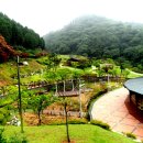 창원 목재문화체험장 이미지