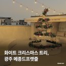 하남소방서 화장실(1층) | 인생 디저트 맛집, 전라도 광주 크리스마스 카페 메종드프렛즐 내돈내산 추천
