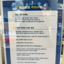 멈무유치원 | 인천 애견카페 연수동 애견카페&amp;애견유치원 호도독🐶🐾