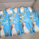 제주베스트 제주감귤즙 착즙주스 감귤순백