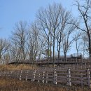 오정대공원 이미지