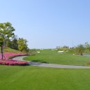 거제 드비치 골프클럽 이미지