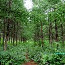 덕동리 마을회관 이미지