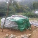 두척동055 이미지