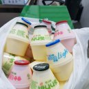 오현남 Daum카페