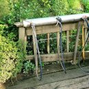 김천정월식당 이미지