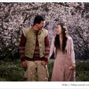 너는 내운명 이미지