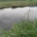 왕숙천 자전거도로15 이미지