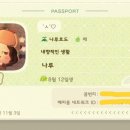KK PC | 모여봐요 동물의 숲 1400시간 후기｜6년차 고인물의 동숲 라이프