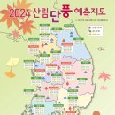 올해 단풍은 10월 말 절정 ‘산림단풍 예측지도’ 나왔다 이미지