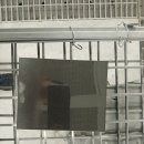 백두산 모터스 네이버블로그