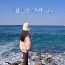 뮤 동전노래연습장 2호점 | [일상] 1월 5주차 - 일본어 공부, 다독임, 영덕 트래킹, 언니