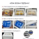 푸드트리 이미지