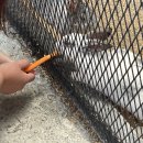 드림한우농장 이미지