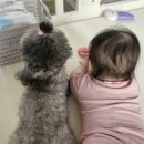 신도안동물병원 이미지