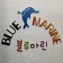 주식회사 블루마린 이미지
