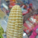 중앙로지하상가 이미지