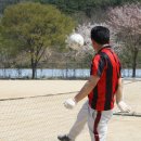 하빈면사무소 이미지