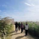 인천공항 하늘정원 산책 이미지