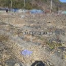 구산면575 이미지