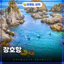 삼척 관광지 장호항 투명카누 스노쿨링 타는법 운영시간 비용