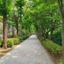 율현초등학교 이미지