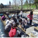 팔덕초등학교 이미지