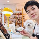 인형세상 | 산본 양모펠트 달문이공방 원데이클래스 반려동물인형 제작 후기
