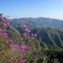 백두모텔 이미지