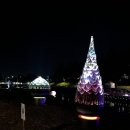 양재천 수변무대5 이미지