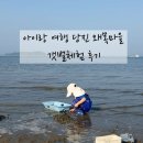 왜목마을관광지 | [여행/당진] 아이랑 왜목마을 갯벌체험 다녀온 후기 /물때 확인 준비물 빌리는 곳/ 맛집도 덤 삼길포