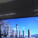 금화관 | 그리스 보물전 아이들과 보면 좋을 전시예요. 강추~~