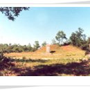 영원부원군묘 이미지