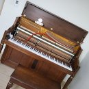 캐슬아리스타궁 이미지