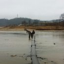 영주중앙시장 이미지